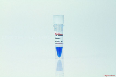 dl2000marker,dl10000marker dl2000 dna marker