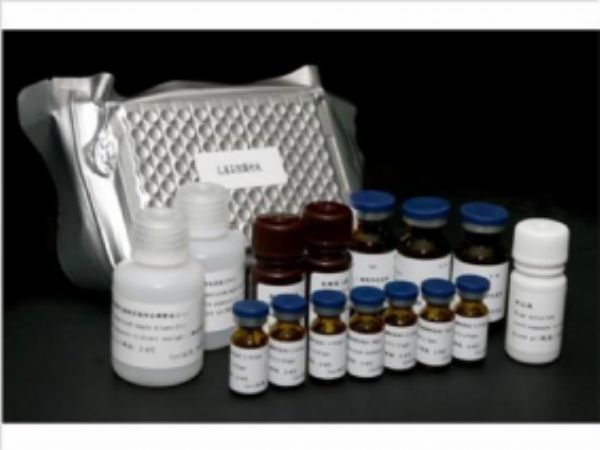 兔子氧化低密度脂蛋白(OxLDL)ELISA试剂盒