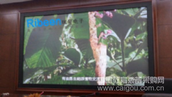 瑞屏DLP大屏幕:无缝隙、尺寸大小任意定制