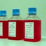 小鼠IgG3类单克隆抗体腹水纯化试剂盒