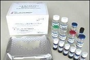 磷酸肌醇3激酶ELISA试剂盒厂家代测,进口人(PI3K)ELISA Kit说明书