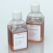 优级新生牛血清(无菌过滤、热灭活)