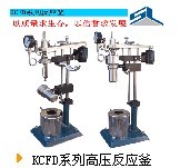 KCFD系列高压反应釜