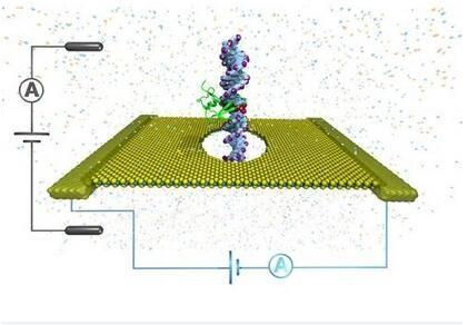 利用2D纳米孔检测DNA甲基化诊断癌症