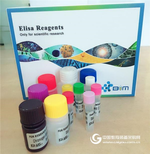 最懂您的ELISA试剂盒,就在上海恒远