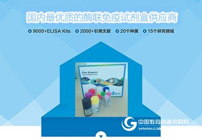 假期结束?上海恒远给您的