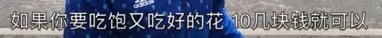 为什么移动支付的今天 大学食堂还要刷饭卡