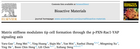Bioactive Materials：血管生成的重大突破——基質硬度通過 p-PXN-Rac1-YAP 信號軸調節細胞形成
