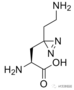 探索翻譯后修飾(PTMs) 的新工具 | MedChemExpress