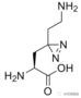 探索翻译后修饰(PTMs) 的新工具 | MedChemExpress