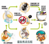 【南京兔牙科技】霍亂疫情下的基因檢測手段