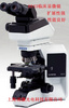 奥林巴斯显微镜BX43/BX53