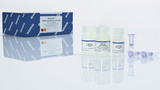Qiagen MinElute PCR Purification Kit 28004 28006