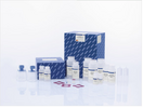 Qiagen EndoFree Plasmid Maxi 試劑盒 12362