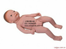 足月胎儿模型