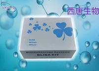 西唐生物基質金屬蛋白酶-7(MMP-7)試劑盒 免費代測