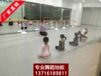 舞蹈房专用地胶 舞蹈房塑胶地板