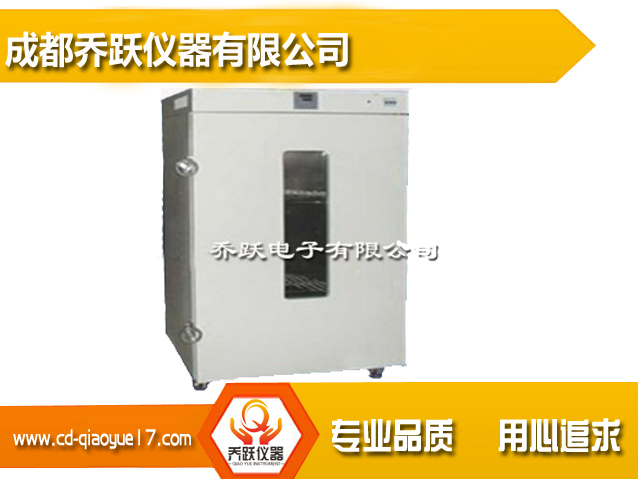 山東立式電熱鼓風恒溫干燥箱9420B