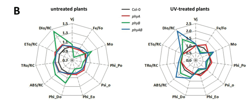 FluorCam台式植物多光谱荧光成像系统 ——植物表型与生理生态实验研究应用广的仪器技术