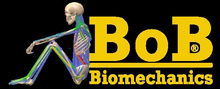 BOB生物力學肌電同步分析軟件