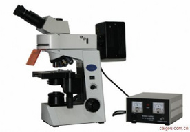 江西荧光显微镜MF41