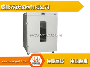 山東立式電熱鼓風恒溫干燥箱9420B