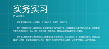 《远恒教育跨境电商实务实习平台》实验实训教学软件