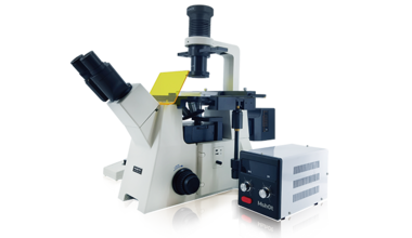 山西研究级倒置荧光显微镜 MF53-N
