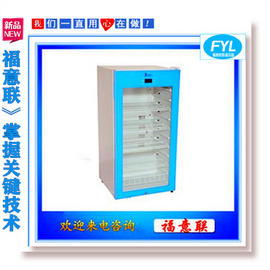 FYL-YS-1028L福意联25℃大型电池测试恒温箱