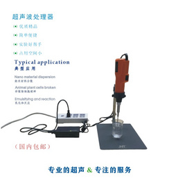 研永兰声 手持式超声波破碎仪 YY-80 3mm探头150ul-50ml/便捷操作