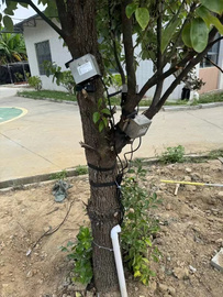 树干直径生长监测系统  植物长势传感器