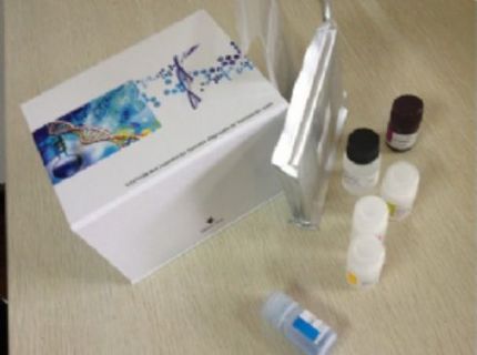 人重组激活基因1(RAG-1)ELISA试剂盒