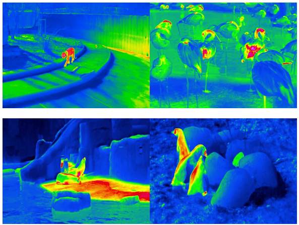 当动物行为研究遇见机器视觉 ——“红外热成像+计算机视觉”动物行为研究系统