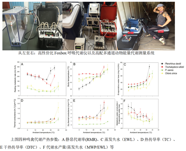 恭贺柳鹏飞教授团队发表四种鸟类代谢产热研究成果