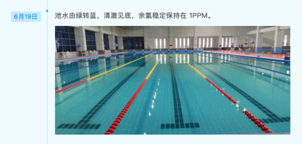东北赛事级游泳馆惊现“锈绿危机”，戴思乐72小时破解幕后真相