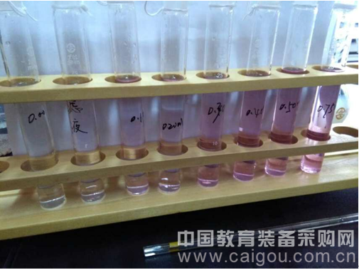 记福建省普通高中高级职称教师专项培训