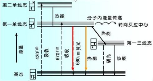 叶绿素的皂化反应原理_油脂截留器(2)