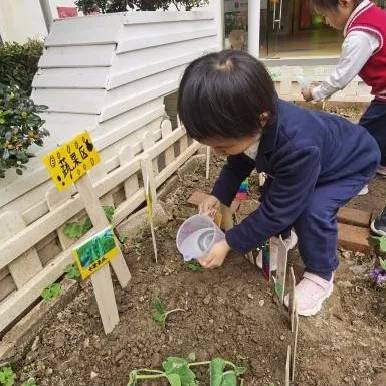 萬科幼兒園開放招生啦!創新課程活動,激發幼兒潛能從這里開始