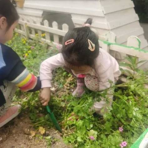 萬科幼兒園開放招生啦!創新課程活動,激發幼兒潛能從這里開始