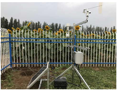 便攜式土壤呼吸和植物生理生態定點觀測系統在內蒙農牧科學院驗收通過