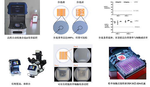 单细胞分选、培养一体化前沿技术，让单克隆细胞成活率更高！单细胞可视化分选培养系统-isoCell重磅来袭