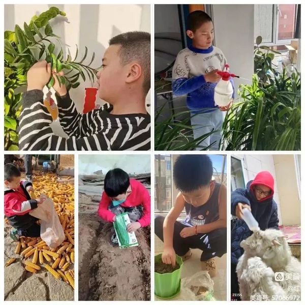 雙減 | 鄂爾多斯市特色作業歡樂多