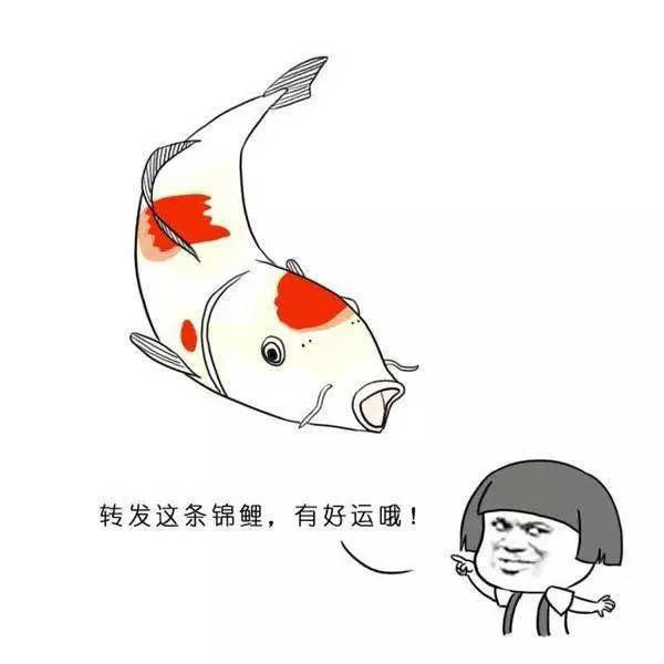 天助自助者，做自己的轉運“錦鯉”