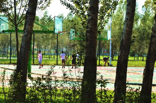 黑龍江工商學院：多功能體育場館，讓你變更好！