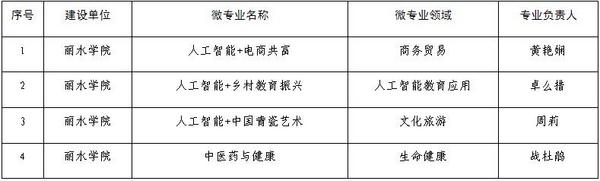 喜报！丽水学院4个微专业入选教育部“双千”计划首批入库项目