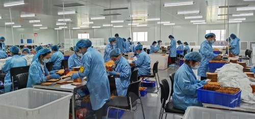 江蘇億茂口罩及核心濾材技術研討會成功召開