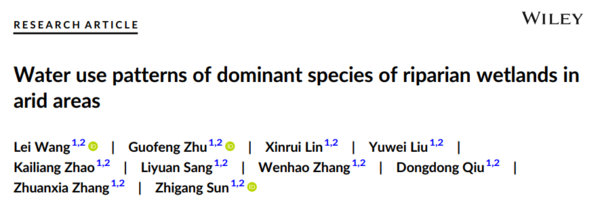 干旱区河岸湿地优势种植物的水分利用模式