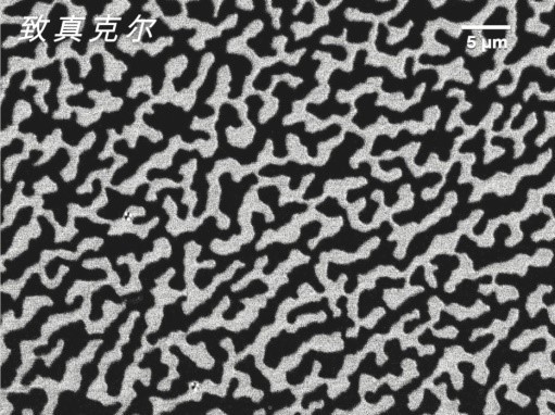 Quantum Design中國合作引進 多功能高分辨率磁光克爾顯微成像系統