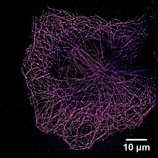 邀請函 | 前沿3D單分子熒光成像系統，邀您免費體驗試用