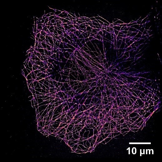 邀请函 | 前沿3D单分子荧光成像系统，邀您免费体验试用